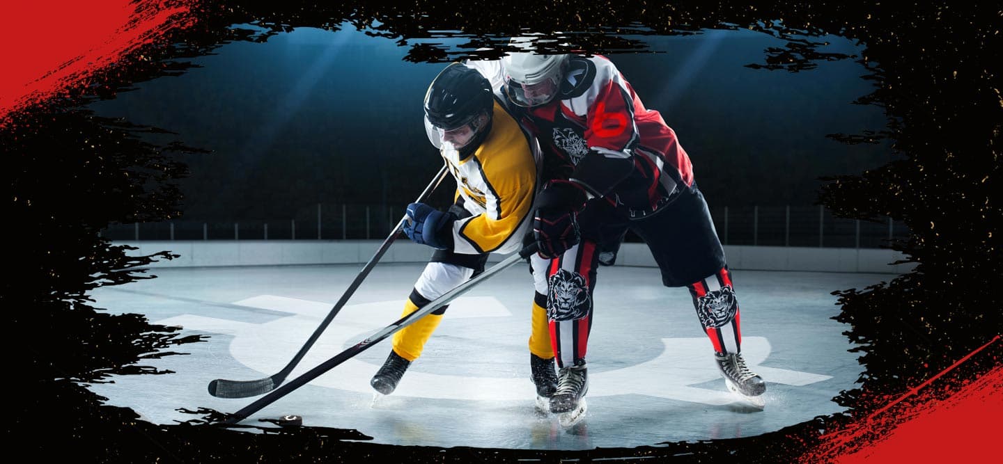 7 Best NHL Fights of All Time