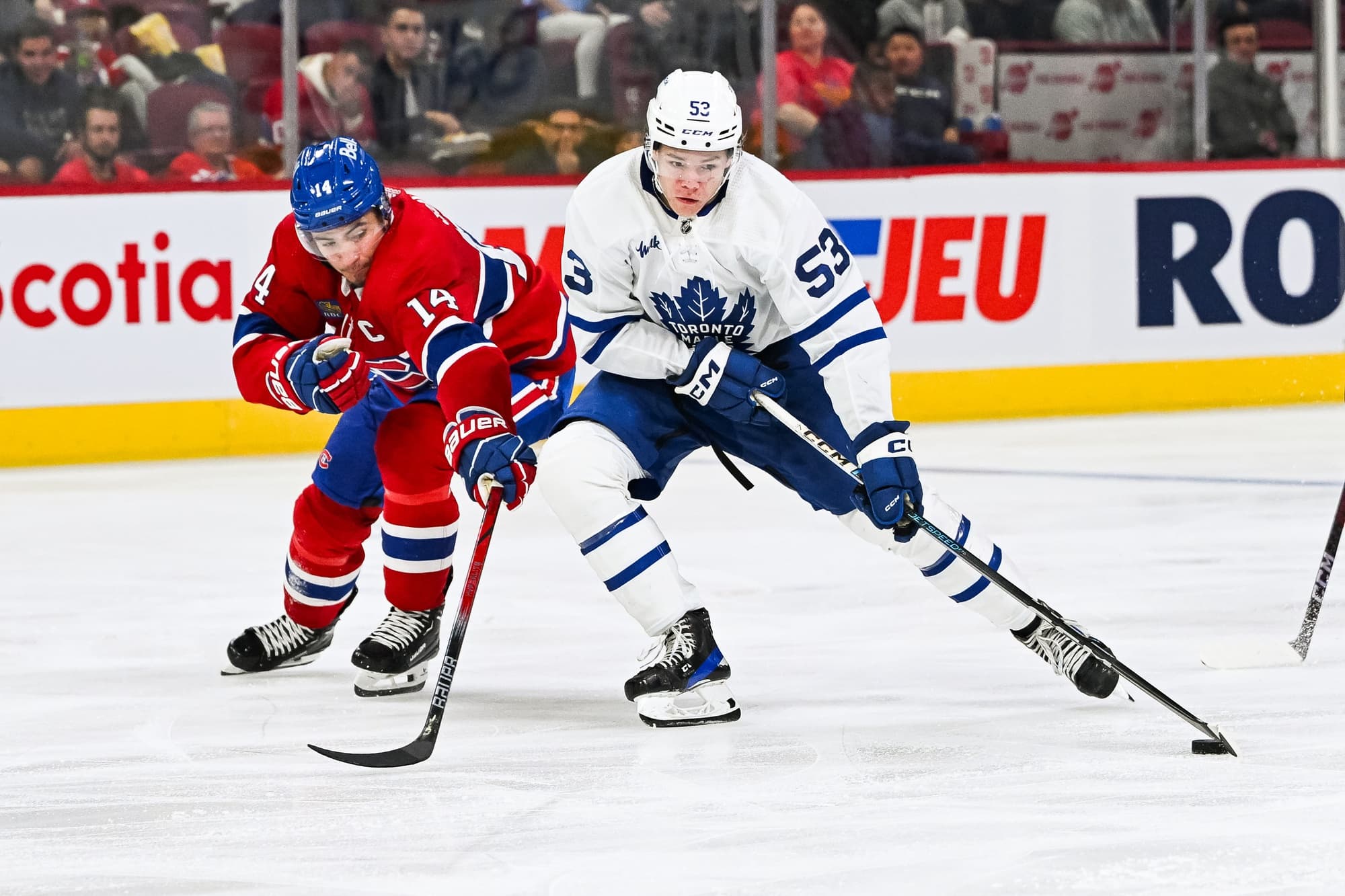 David Alter: Easton Cowan’s Leafs Debut “Imminent”