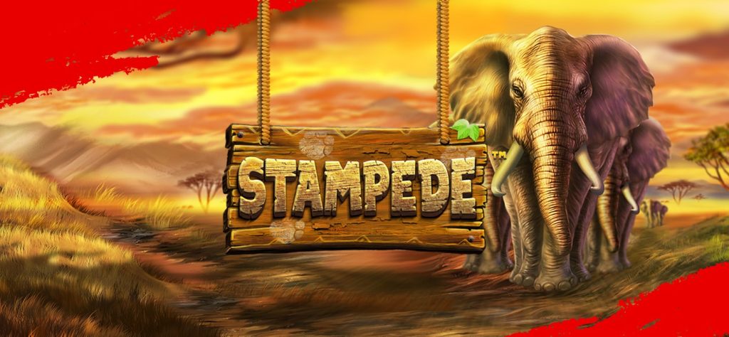 Stampede slot game graphic with a majestic elephant in the background.